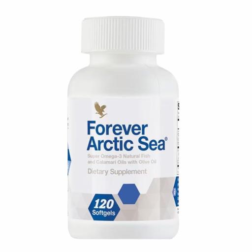forever_arctic_sea__pd_main_512_X_512_1730144839241 Forever Arctic Sea